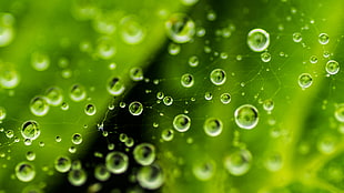 time lapse photo of water droplets HD wallpaper