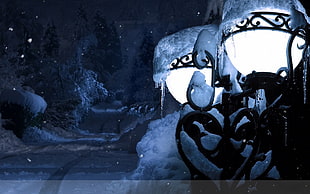 closeup photography of sconce with snow
