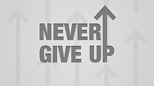 Never Give Up, text, typography, cringy, quote