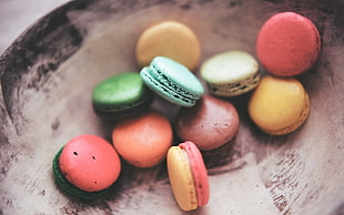 assorted macaroons in close-up photography