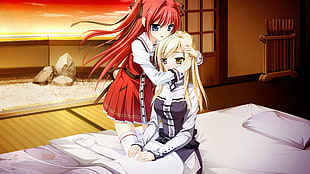 two women with red and blonde hair anime character digital wallpeper