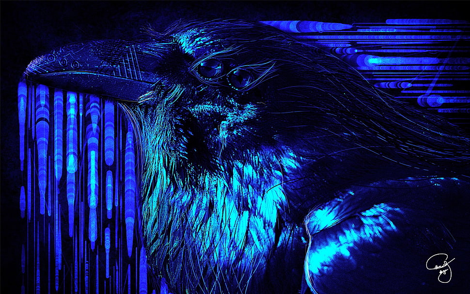 blue bird, raven, crow, psychedelic, blue HD wallpaper