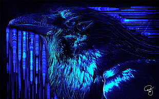 blue bird, raven, crow, psychedelic, blue HD wallpaper