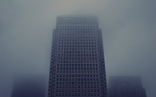 gray high rise building, skyscraper