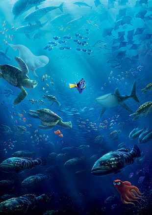 Finding Dory movie poster HD wallpaper