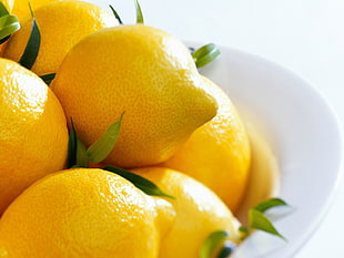 lemon fruit lot HD wallpaper