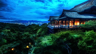 black pagoda, landscape, Japan, house, building