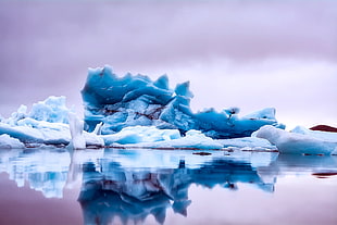 ice berg in body of water HD wallpaper
