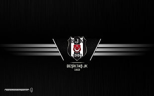 Besiktas logo, Besiktas J.K., Turkey, Turkish, soccer pitches HD wallpaper