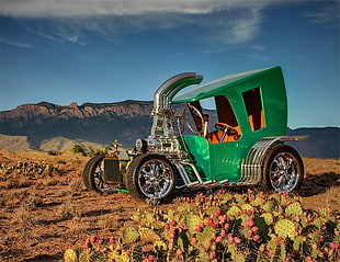 green and silver car near cacti, car
