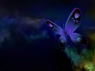 black and purple butterfly illustration, fantasy art, digital art, butterfly HD wallpaper