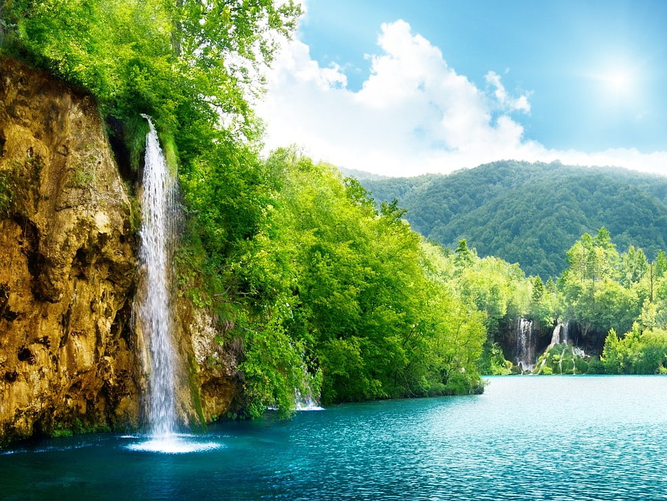 green leaf trees and waterfall wallpaper, waterfall HD wallpaper