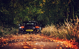 black car, Porsche, Porsche 911, leaves