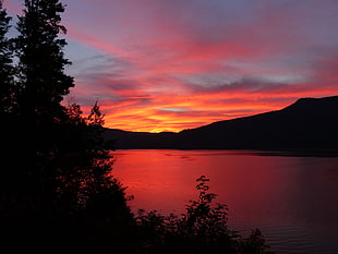 glowing, sun rise, canim lake, british columbia