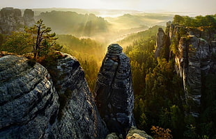 gray mountains, forest, cliff, mist, valley