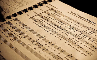 closeup photo of musical notes