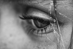 grayscale photo of person's eye HD wallpaper