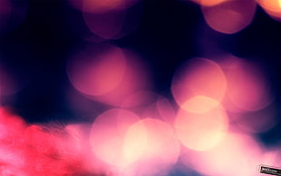 lights, bokeh