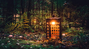 photo of brown lamp surrounded by grass