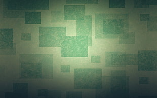 close-up photo of green and gray wallpaper