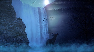 silhouette of deer near waterfalls