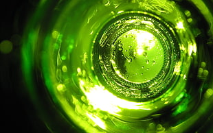 Glass,  Green,  Bottle HD wallpaper