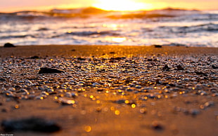 tilt photography of brown sand near seashore