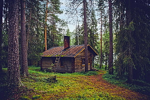 photography of brown cabin in between green leaf trees