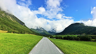 gray pave road between grass field, nature, landscape, mountains, road