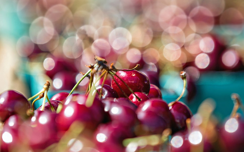 close-up photograph of cherries HD wallpaper