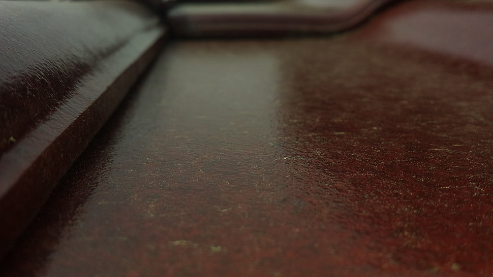closeup HD wallpaper