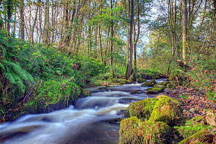 river near mossy rocks in forestg HD wallpaper