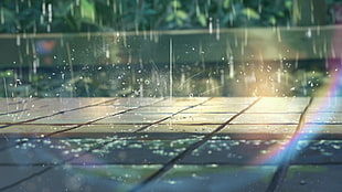 micro-lens of rain drop with rainbow HD wallpaper