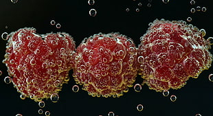photography of three red microscopic organisms