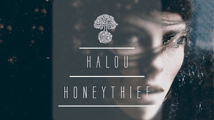 Halou Honeythief movie case, quote HD wallpaper