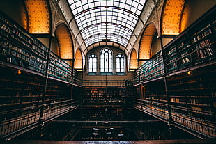 white painted wall, Library, Window, Building