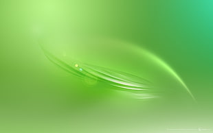 green leaf illustration, green, abstract HD wallpaper