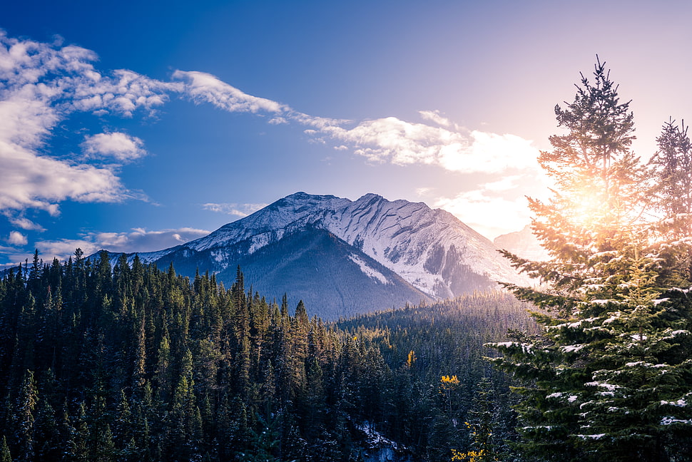 mountain across green forest during sunrise HD wallpaper