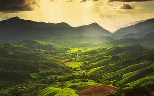 green hills and mountains, nature, landscape, mist, valley