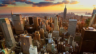 aerial photography of city skyline, city, urban, New York City, cityscape HD wallpaper