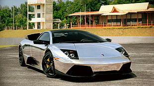 silver Lamborghini Murcielago coupe, Lamborghini Murcielago