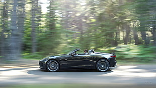 black convertible coupe, Jaguar F-Type, Jaguar (car), vehicle, car HD wallpaper