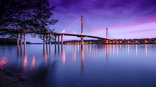 landscape photography of suspension bridge over water beside lighted buildings, port mann bridge HD wallpaper
