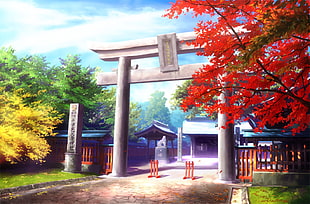 gray Japanese Temple archgate anime photo at daytime