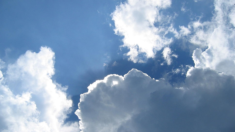 white cumulus clouds during day time HD wallpaper
