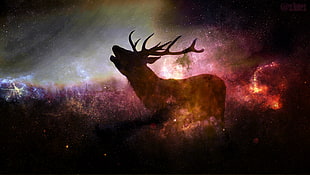 deer digital wallpaper, deer, animals, stars, digital art HD wallpaper