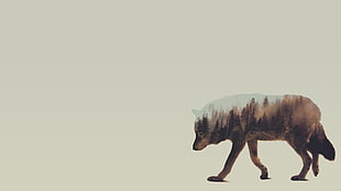 brown and grey animal painting, double exposure, Andreas Lie, animals, wolf HD wallpaper
