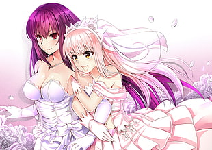 two female anime characters, Fate/Grand Order, Medb ( fate/grand order ), Scathach ( Fate/Grand Order ), wedding dress