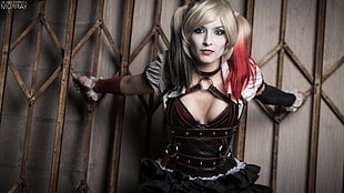 woman in Harley Quinn cosplay