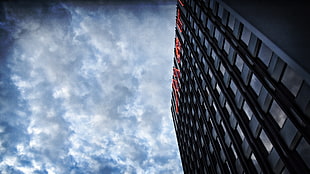 gray concrete building, Frankfurt, skyline, banks, hotel HD wallpaper
